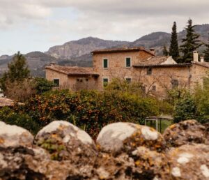 Lire la suite à propos de l’article Pièges de l’achat immobilier à Majorque